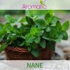 aromatic-nane-aromasi
